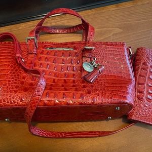 Brahmin handbag and Wallet
